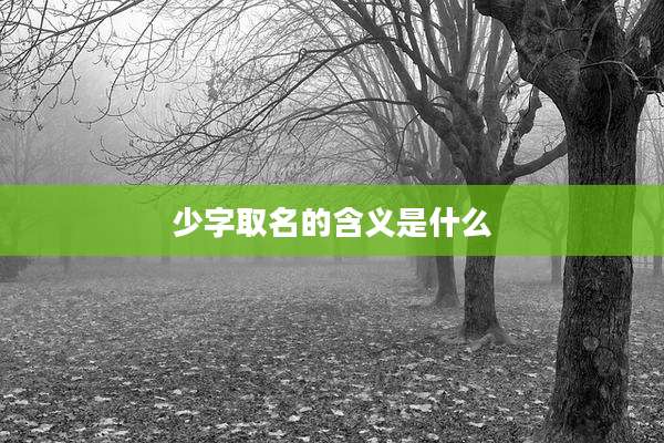 少字取名的含义是什么