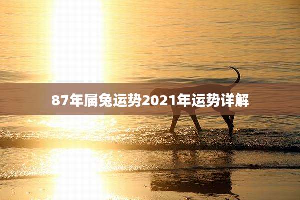 87年属兔运势2021年运势详解