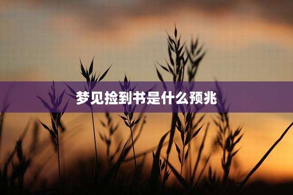 梦见捡到书是什么预兆