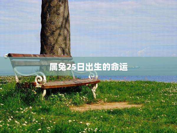 属兔25日出生的命运