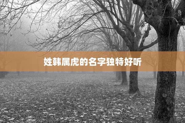 姓韩属虎的名字独特好听