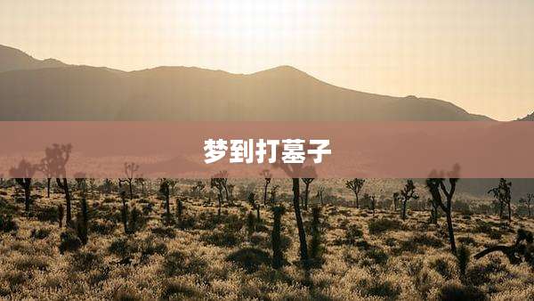 梦到打墓子