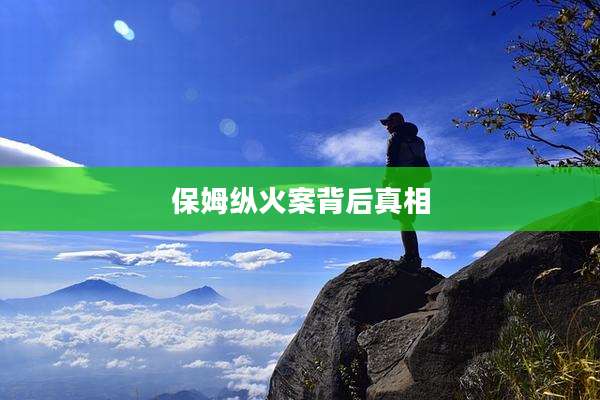 保姆纵火案背后真相