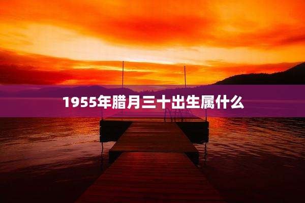 1955年腊月三十出生属什么