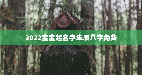 2022宝宝起名字生辰八字免费