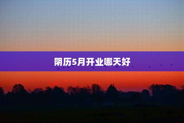 阴历5月开业哪天好