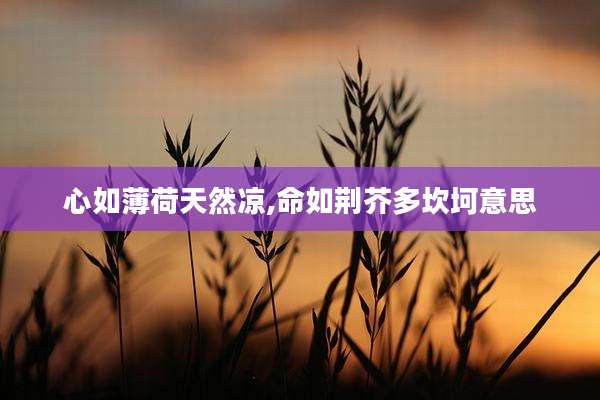 心如薄荷天然凉,命如荆芥多坎坷意思