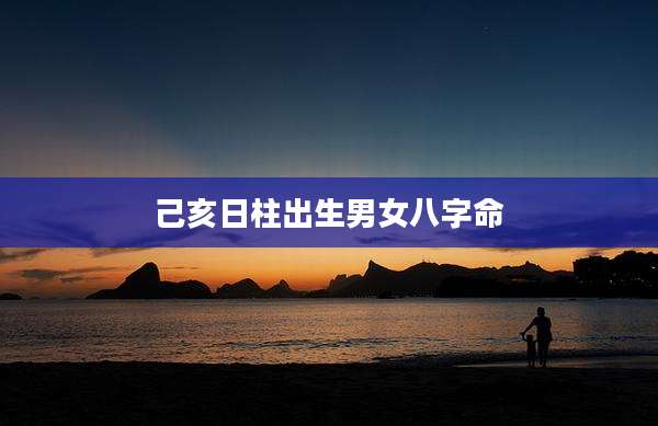 己亥日柱出生男女八字命