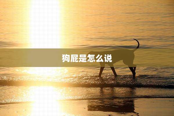 狗屁是怎么说