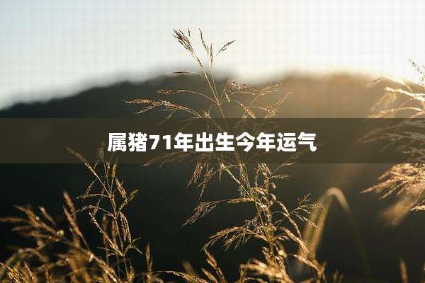 属猪71年出生今年运气
