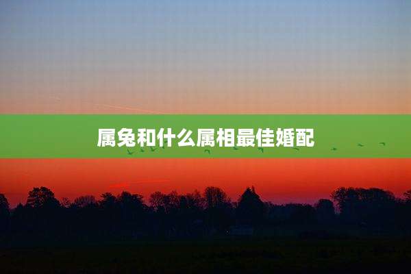 属兔和什么属相最佳婚配