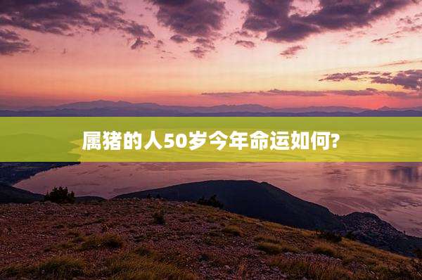属猪的人50岁今年命运如何?