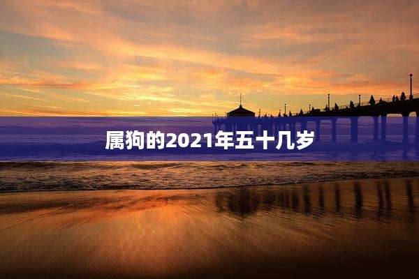 属狗的2021年五十几岁