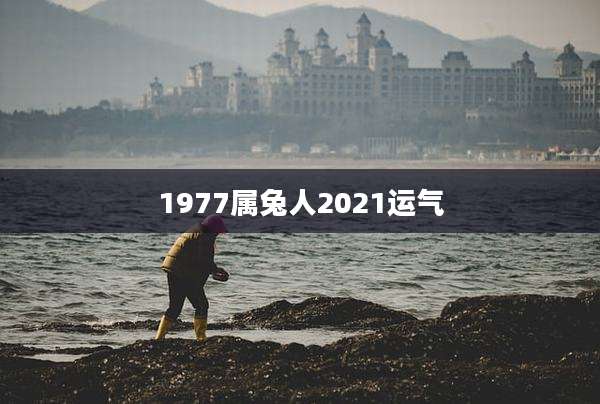 1977属兔人2021运气