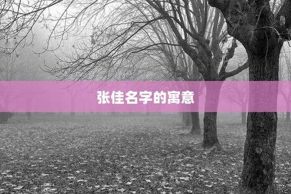 张佳名字的寓意