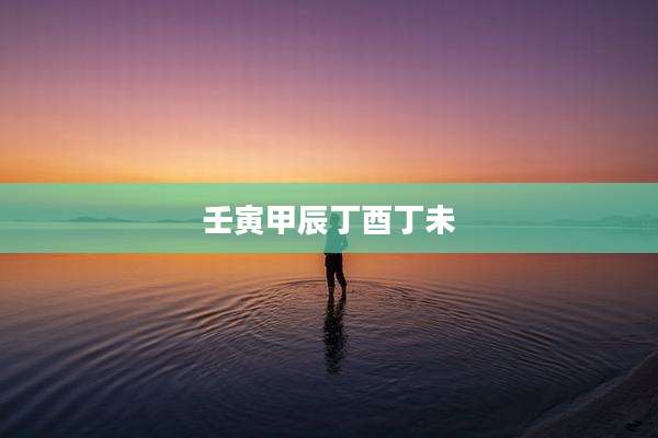 壬寅甲辰丁酉丁未