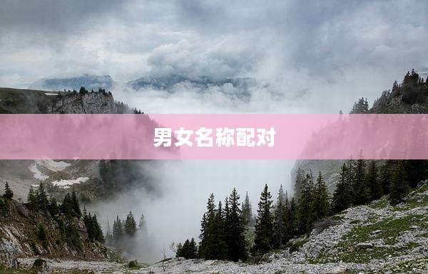 男女名称配对
