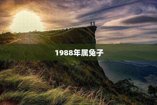 1988年属兔子