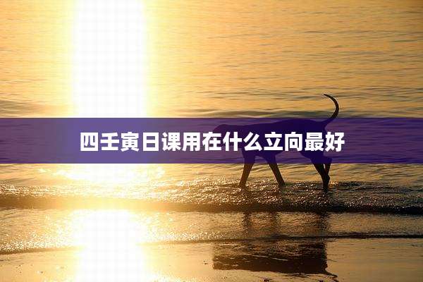 四壬寅日课用在什么立向最好