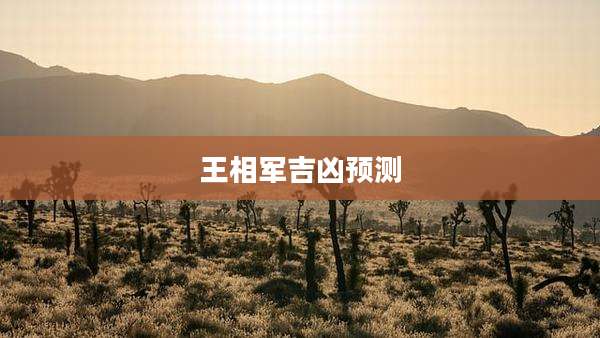 王相军吉凶预测