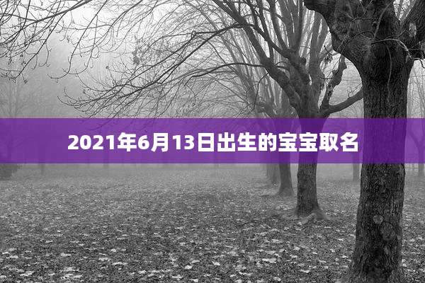 2021年6月13日出生的宝宝取名
