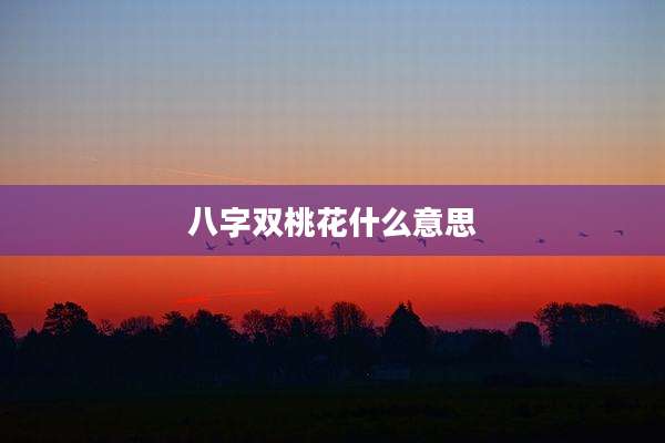 八字双桃花什么意思
