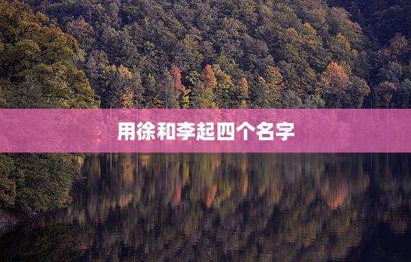 用徐和李起四个名字