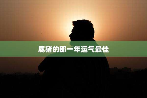 属猪的那一年运气最佳