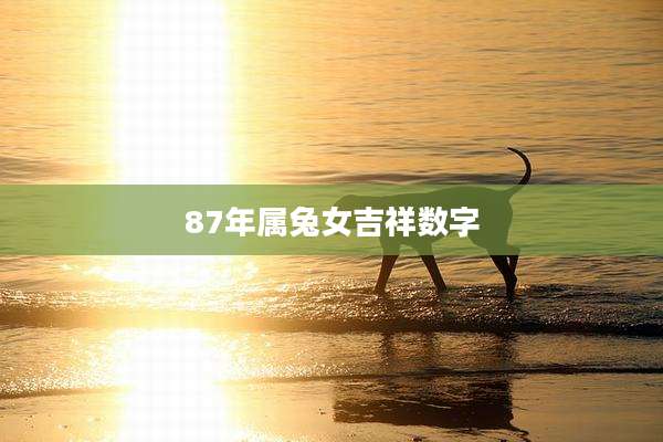 87年属兔女吉祥数字