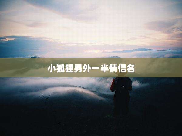 小狐狸另外一半情侣名