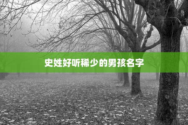 史姓好听稀少的男孩名字