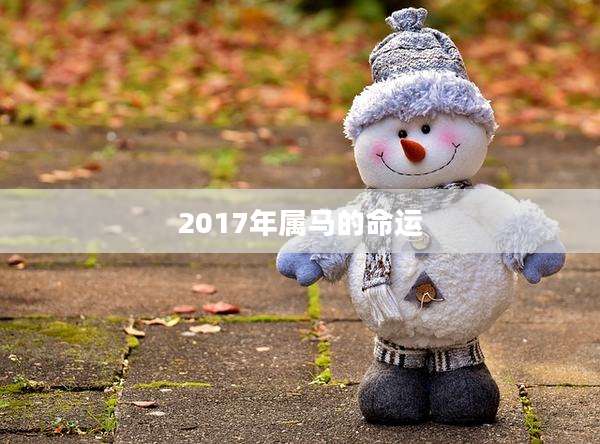 2017年属马的命运