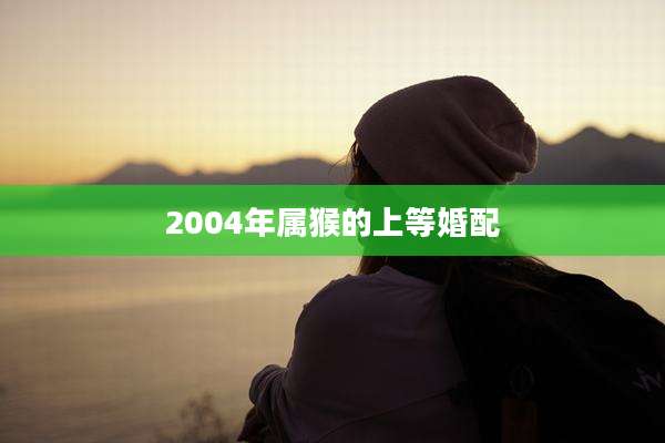 2004年属猴的上等婚配