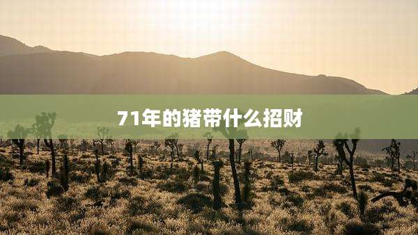 71年的猪带什么招财