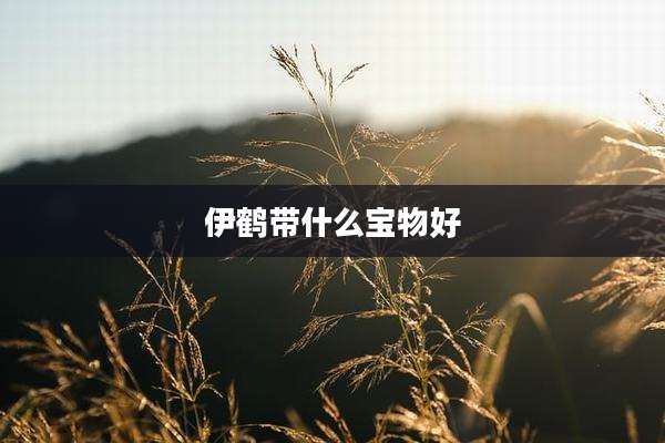 伊鹤带什么宝物好