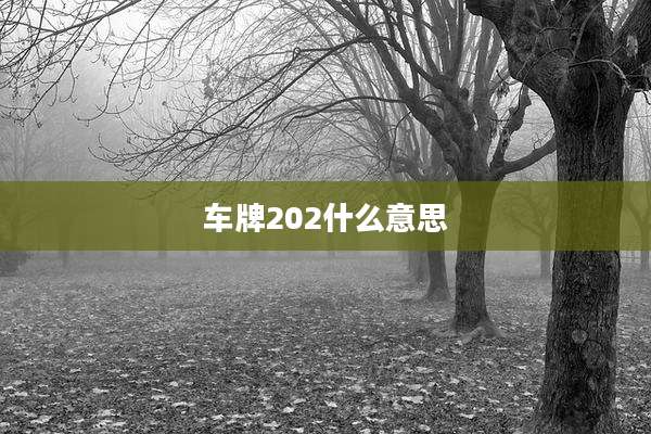 车牌202什么意思