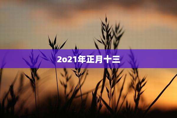 2o21年正月十三