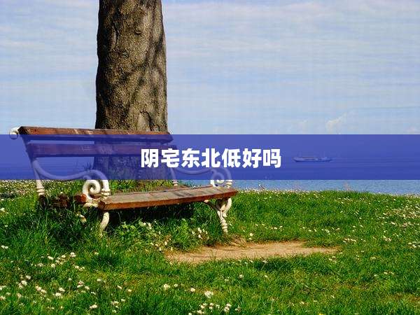 阴宅东北低好吗