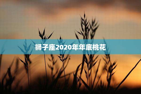 狮子座2020年年底桃花