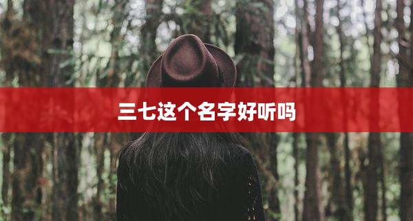 三七这个名字好听吗