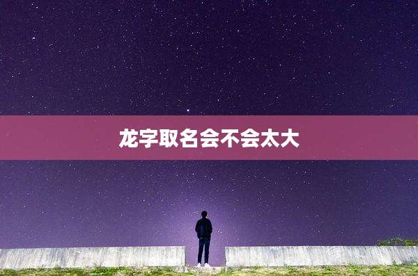 龙字取名会不会太大