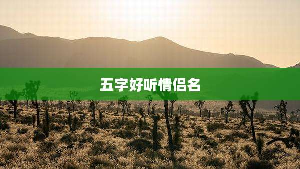 五字好听情侣名