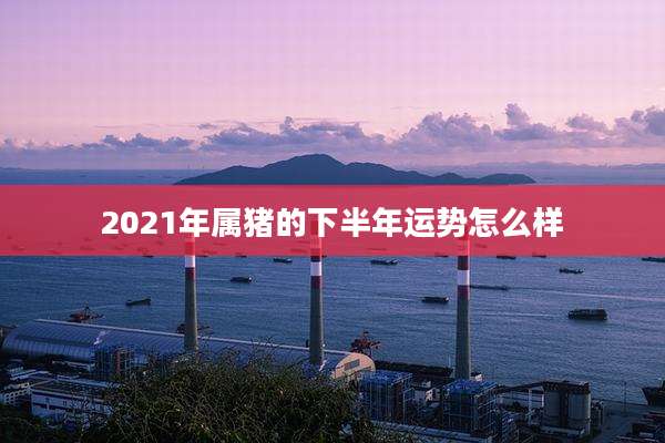 2021年属猪的下半年运势怎么样