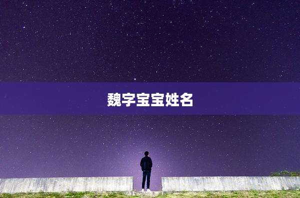 魏字宝宝姓名