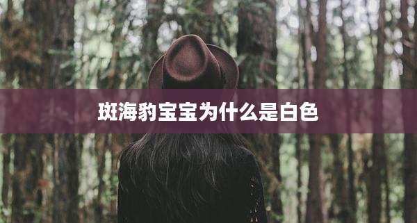 斑海豹宝宝为什么是白色