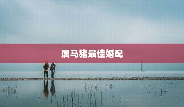 属马猪最佳婚配