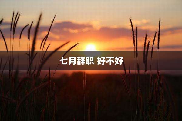 七月辞职 好不好