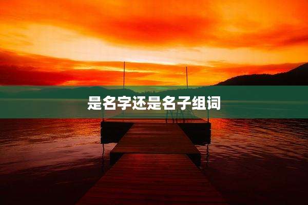 是名字还是名子组词