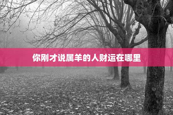 你刚才说属羊的人财运在哪里