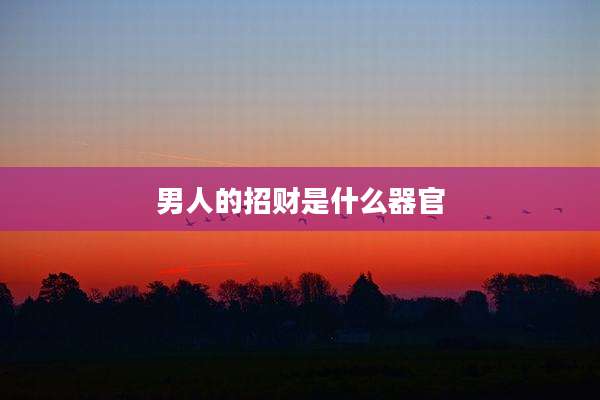 男人的招财是什么器官